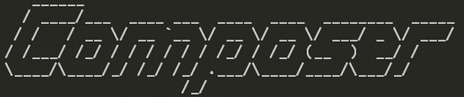 Composer im Terminal